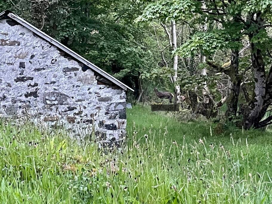 John The Mills Cottage Spahot Tub Private Beach Donegal Town Eksteriør bilde